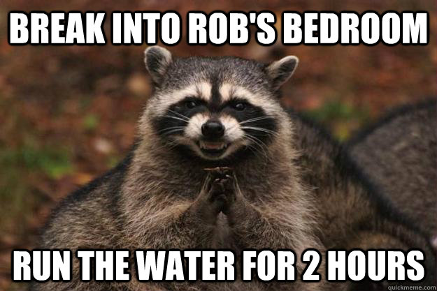 Break into rob's bedroom run the water for 2 hours  Evil Plotting Raccoon