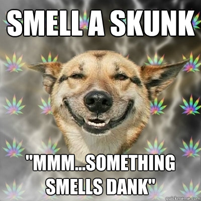 Smell a skunk 