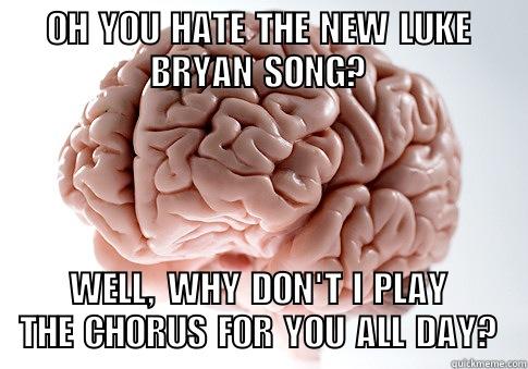 OH YOU HATE THE NEW LUKE BRYAN SONG? WELL, WHY DON'T I PLAY THE CHORUS FOR YOU ALL DAY? Scumbag Brain