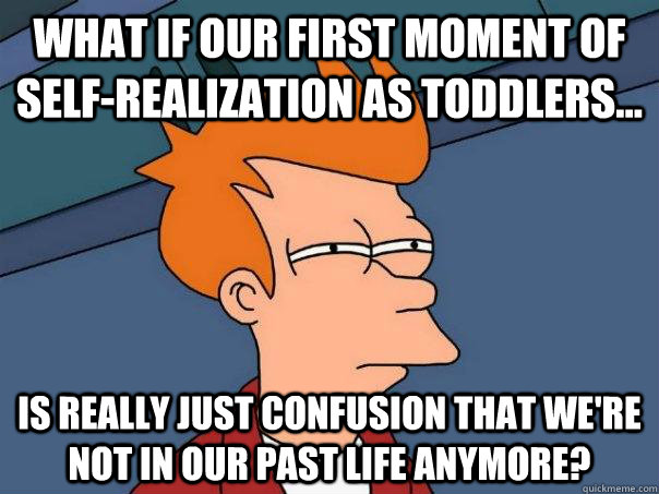 What if our first moment of self-realization as toddlers... is really just confusion that we're not in our past life anymore?  Futurama Fry