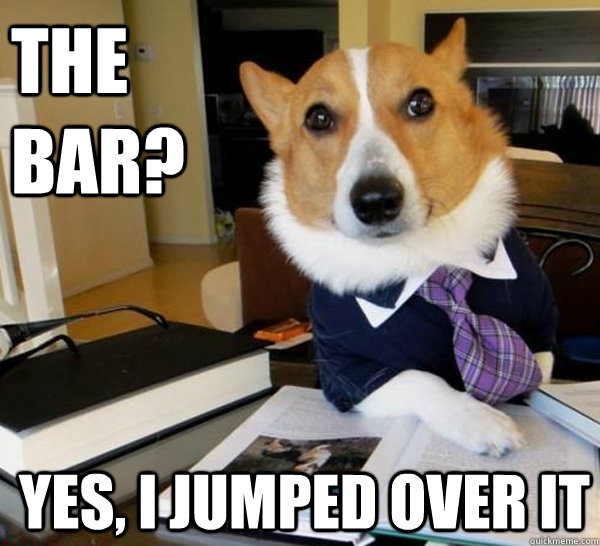 The bar? Yes, I jumped over it  Lawyer Dog