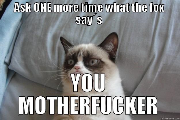 ASK ONE MORE TIME WHAT THE FOX SAY´S YOU MOTHERFUCKER Grumpy Cat