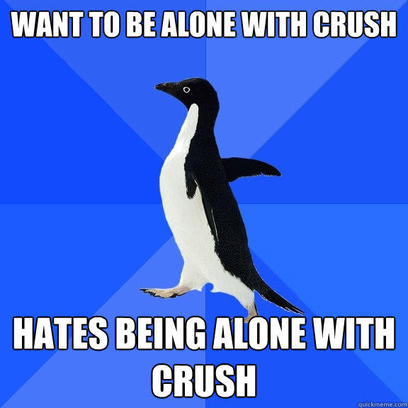 want to be alone with crush hates being alone with crush - want to be alone with crush hates being alone with crush  Socially Awkward Penguin