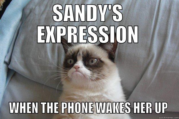 NOOOOOO!!  I'M RETIRED NOW. - SANDY'S EXPRESSION WHEN THE PHONE WAKES HER UP Grumpy Cat