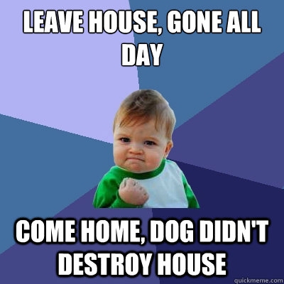 leave house, gone all day come home, dog didn't destroy house  Success Kid