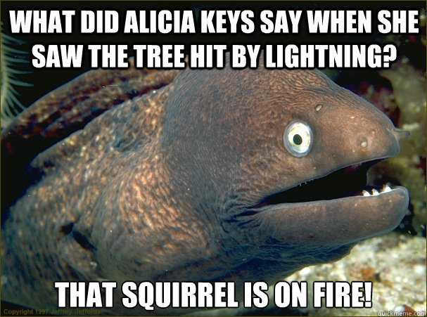 What did Alicia Keys say when she saw the tree hit by lightning? That Squirrel is on Fire!  Bad Joke Eel