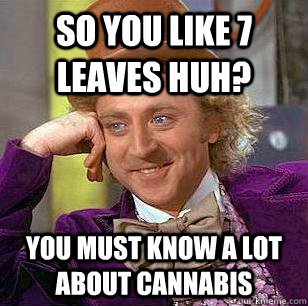 So you like 7 leaves huh? you must know a lot about cannabis  Condescending Wonka