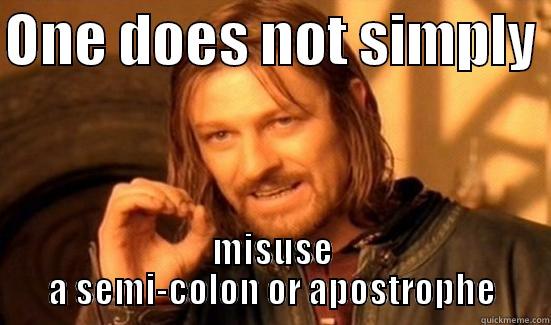 ONE DOES NOT SIMPLY  MISUSE A SEMI-COLON OR APOSTROPHE Boromir