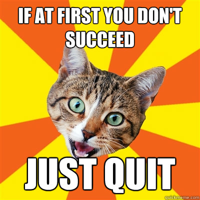 If at first you don't succeed Just quit  Bad Advice Cat