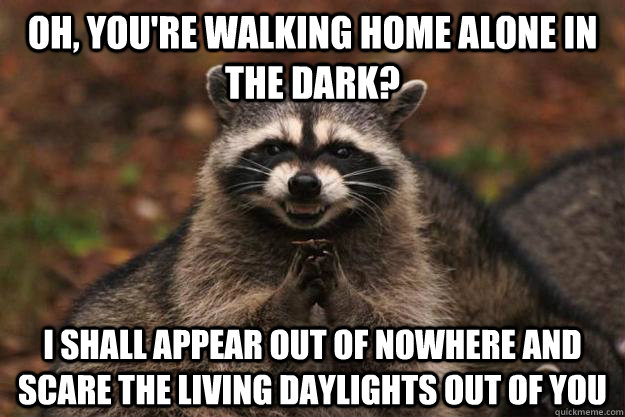 Oh, you're walking home alone in the dark? I shall appear out of nowhere and scare the living daylights out of you   Evil Plotting Raccoon