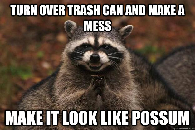 Turn over trash can and make a mess make it look like possum - Turn over trash can and make a mess make it look like possum  Evil Plotting Raccoon