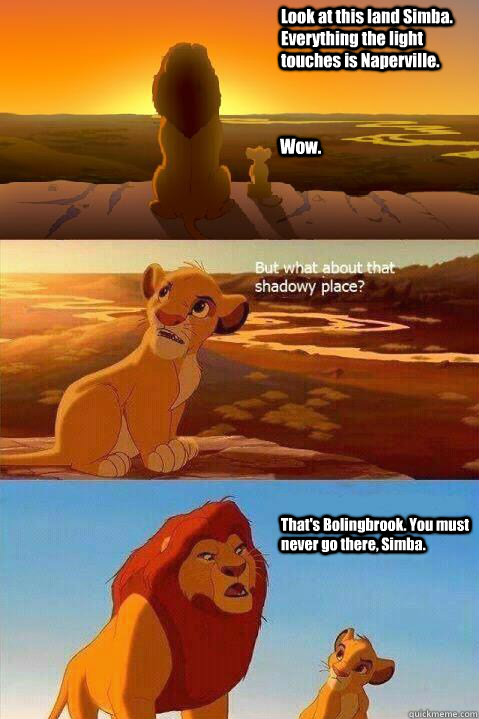 Look at this land Simba. Everything the light touches is Naperville. Wow. That's Bolingbrook. You must never go there, Simba.   Lion King Shadowy Place