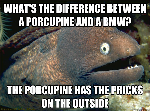 What's the difference between a porcupine and a BMW? The porcupine has the pricks on the outside  Bad Joke Eel