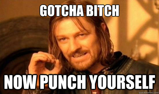 Gotcha Bitch Now punch yourself - Gotcha Bitch Now punch yourself  Boromir