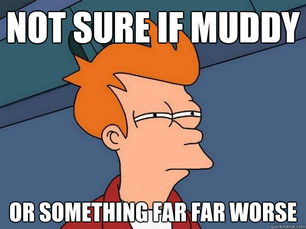 Not sure if muddy Or something far far worse  Futurama Fry