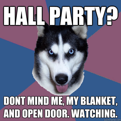 hall party? dont mind me, my blanket, and open door. Watching.  Creeper Canine