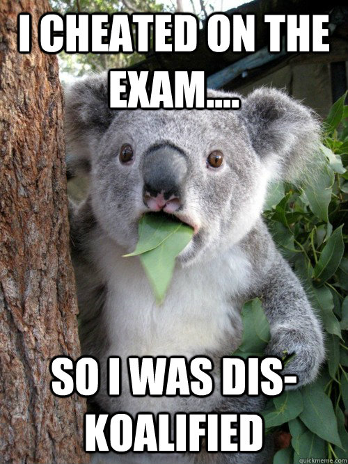 I cheated on the exam.... So I was dis-koalified - I cheated on the exam.... So I was dis-koalified  koala bear