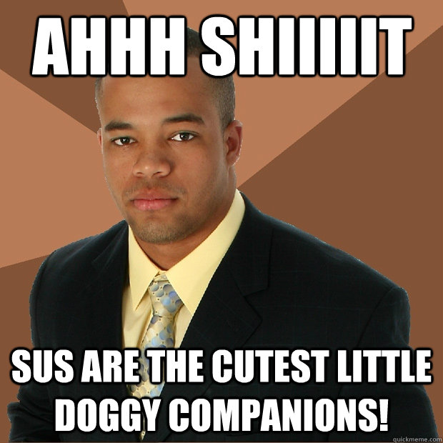 ahhh shiiiiit sus are the cutest little doggy companions! - ahhh shiiiiit sus are the cutest little doggy companions!  Successful Black Man