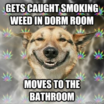 gets caught smoking weed in dorm room moves to the bathroom  Stoner Dog