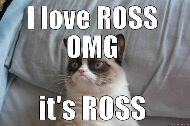 I LOVE ROSS OMG IT'S ROSS Grumpy Cat