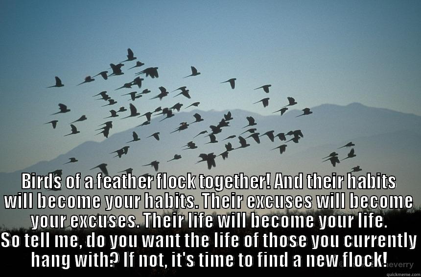  BIRDS OF A FEATHER FLOCK TOGETHER! AND THEIR HABITS WILL BECOME YOUR HABITS. THEIR EXCUSES WILL BECOME YOUR EXCUSES. THEIR LIFE WILL BECOME YOUR LIFE. SO TELL ME, DO YOU WANT THE LIFE OF THOSE YOU CURRENTLY HANG WITH? IF NOT, IT'S TIME TO FIND A NEW FLOCK Misc