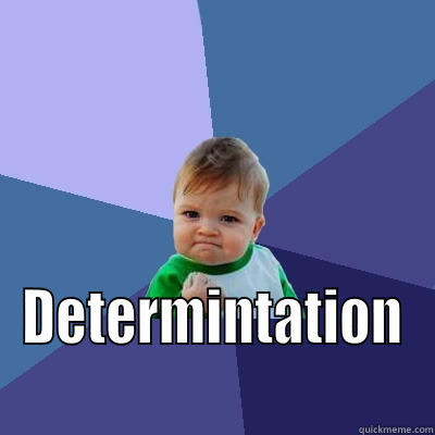  DETERMINTATION Success Kid