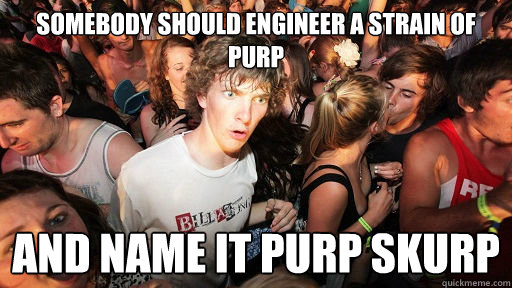 somebody should engineer a strain of purp and name it purp skurp - somebody should engineer a strain of purp and name it purp skurp  Sudden Clarity Clarence