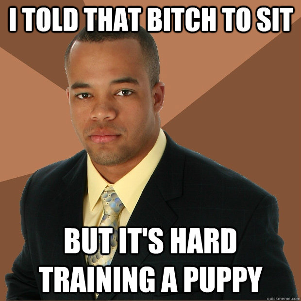 I told that bitch to sit But it's hard training a puppy  Successful Black Man