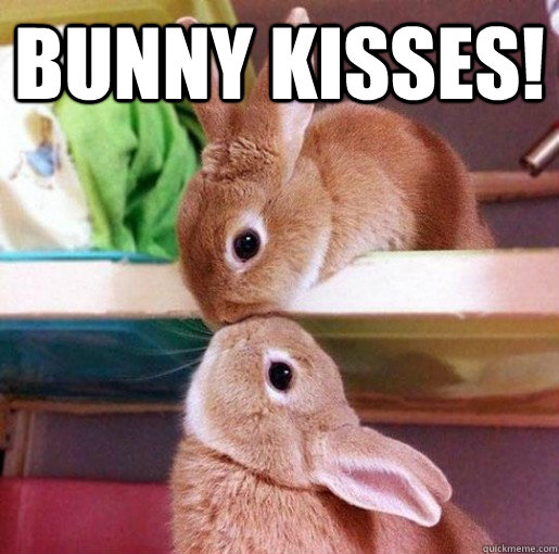 Bunny kisses!  