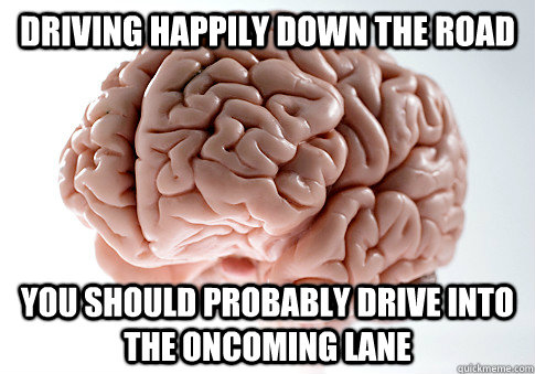 Driving happily down the road you should probably drive into the oncoming lane  Scumbag Brain