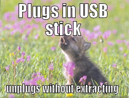 PLUGS IN USB STICK UNPLUGS WITHOUT EXTRACTING  Misc