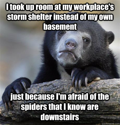 I took up room at my workplace's storm shelter instead of my own basement just because I'm afraid of the spiders that I know are downstairs - I took up room at my workplace's storm shelter instead of my own basement just because I'm afraid of the spiders that I know are downstairs  Confession Bear