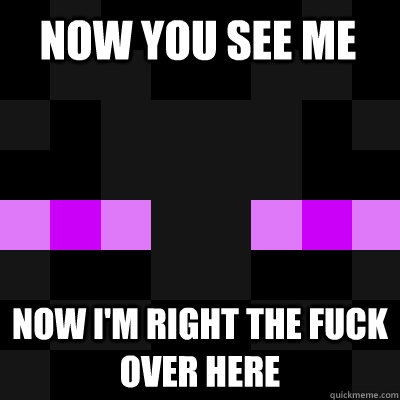 now you see me now I'm right the fuck over here  enderman