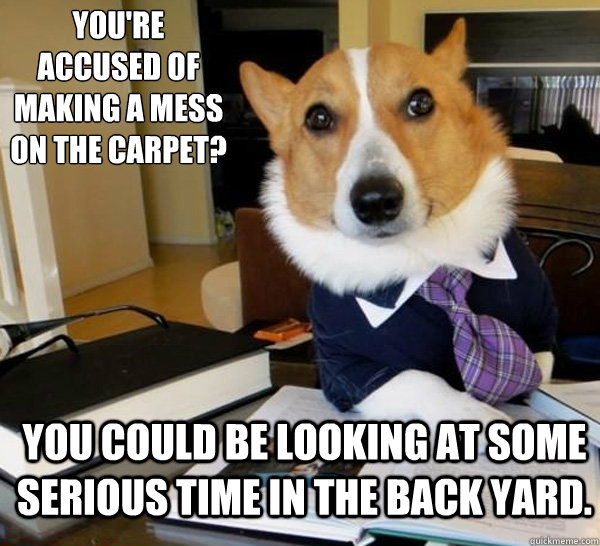 You're accused of
making a mess
on the carpet? You could be looking at some serious time in the back yard.  Lawyer Dog