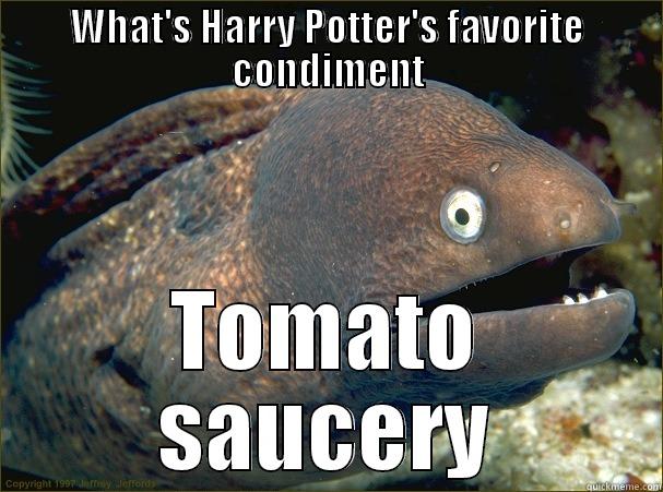 WHAT'S HARRY POTTER'S FAVORITE CONDIMENT TOMATO SAUCERY Bad Joke Eel