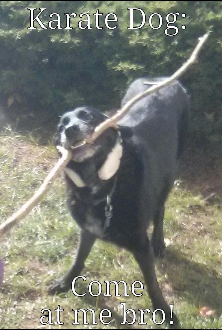 KARATE DOG: COME AT ME BRO! Misc