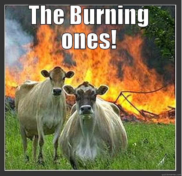 THE BURNING ONES!  Evil cows