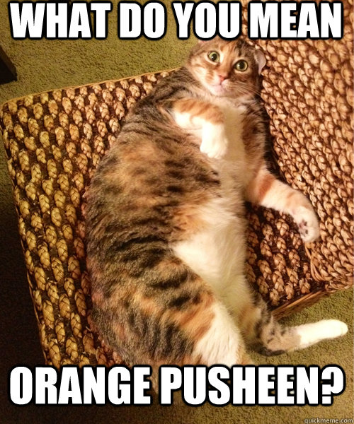 orange pusheen