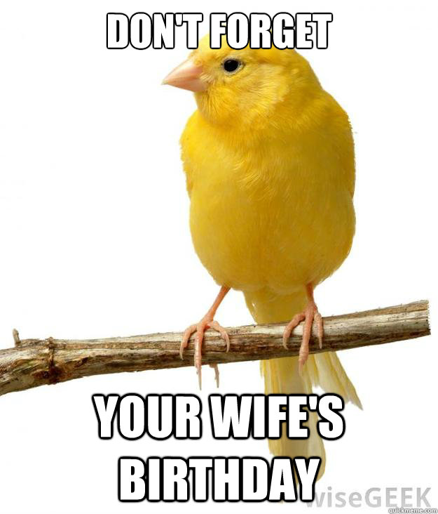 dont forget your wifes birthday - Misc pic