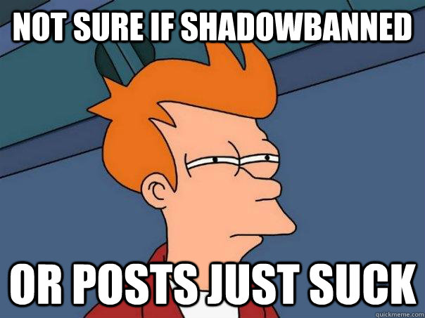 Not sure if shadowbanned or posts just suck  Futurama Fry