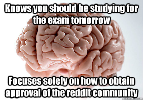 Knows you should be studying for the exam tomorrow Focuses solely on how to obtain approval of the reddit community  Scumbag Brain