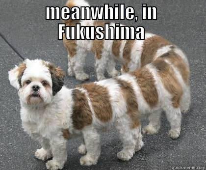 MEANWHILE, IN FUKUSHIMA  Misc