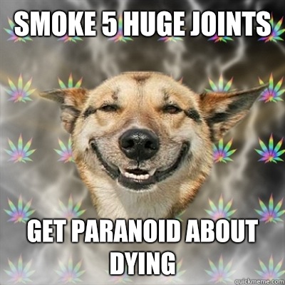 Smoke 5 huge joints Get paranoid about dying  Stoner Dog