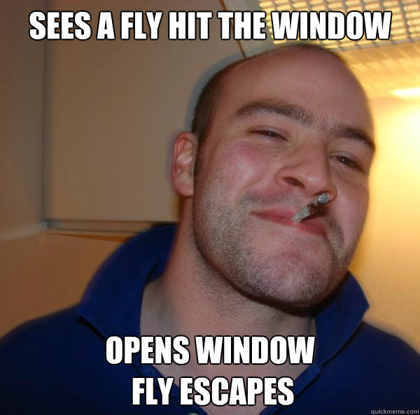 sees a fly hit the window opens window
 fly escapes - sees a fly hit the window opens window
 fly escapes  Misc