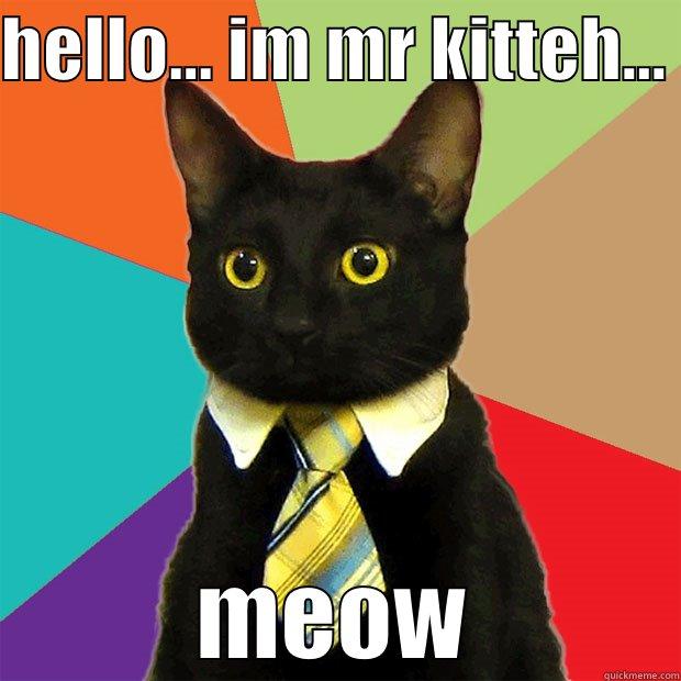 HELLO... IM MR KITTEH...  MEOW Business Cat