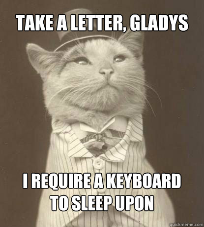 Take a letter, Gladys I require a keyboard
to sleep upon  Aristocat