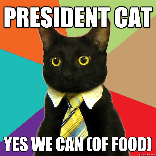 president cat yes we can (of food)  Business Cat