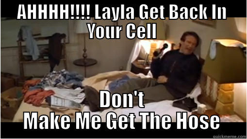 AHHHH!!!! LAYLA GET BACK IN YOUR CELL DON'T MAKE ME GET THE HOSE Misc