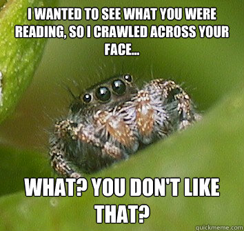 I wanted to see what you were reading, so I crawled across your face... What? You don't like that?
  Misunderstood Spider