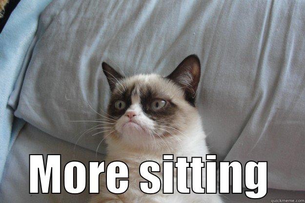  MORE SITTING Grumpy Cat